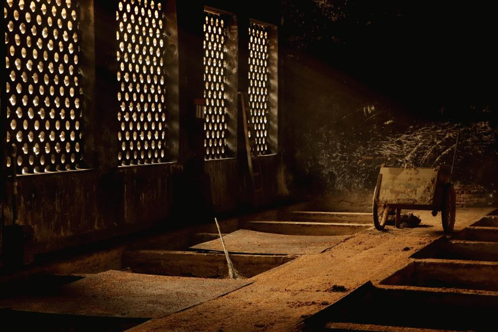 央媒點(diǎn)贊四特酒！ 深度解讀四特酒守正創(chuàng)新的品牌精神內(nèi)核