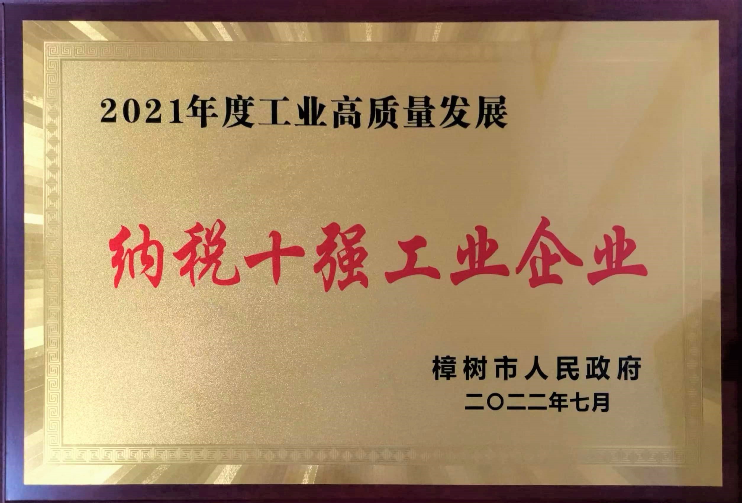 2021年度工業高質量發展 納稅十強工業企業
